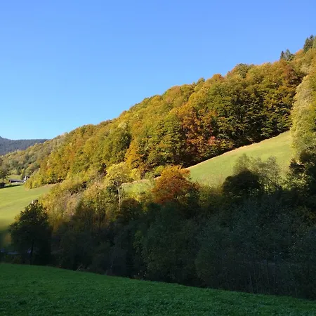 Fruehstueckspension Gweil Pensionat