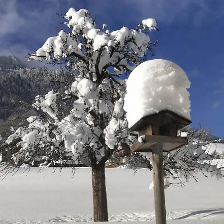 Fruehstueckspension Gweil Sankt Gallenkirch